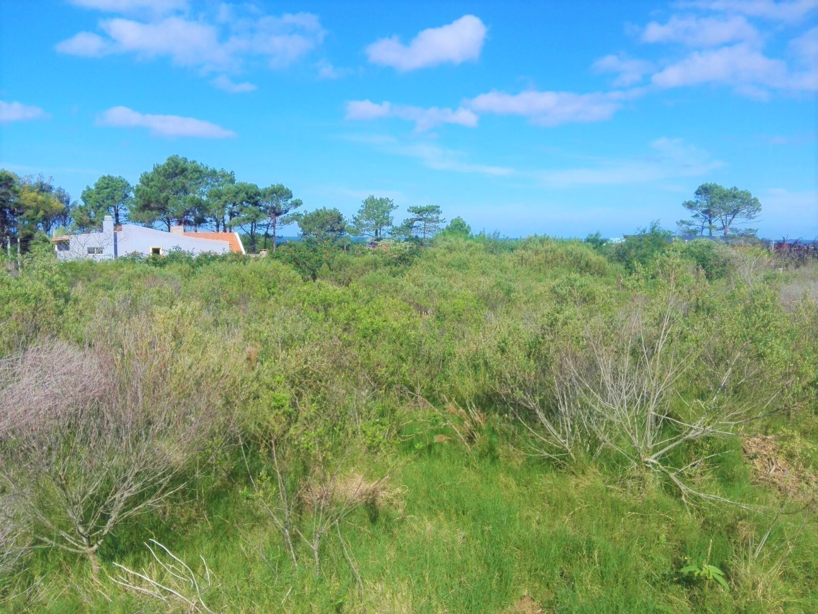 Lindo lote en segunda linea de mar en Balneario Bs As